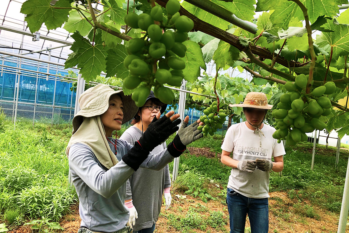 若者支援シェアハウス「人おこし」|こじま農園